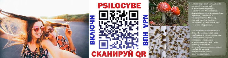 Псилоцибиновые грибы мицелий  Купить закладки  Дрезна 